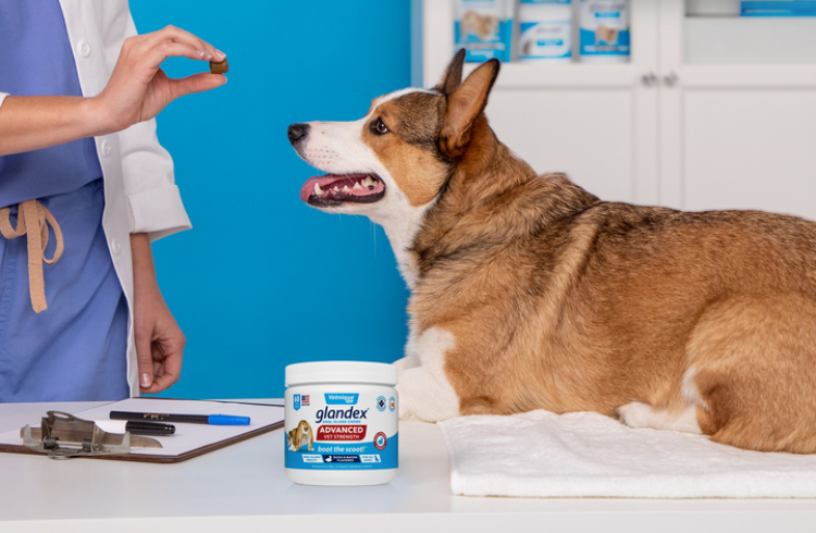 anal gland supplement