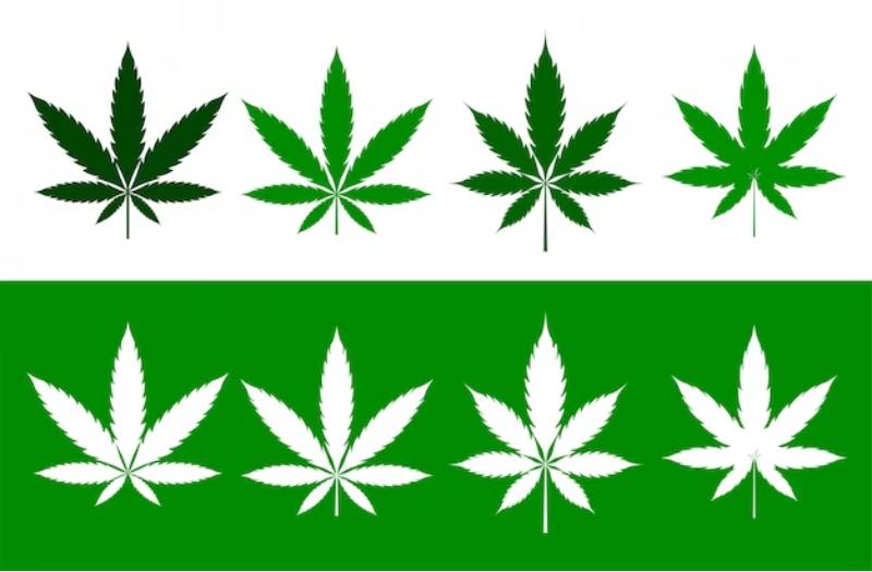  medical marijuana card 
