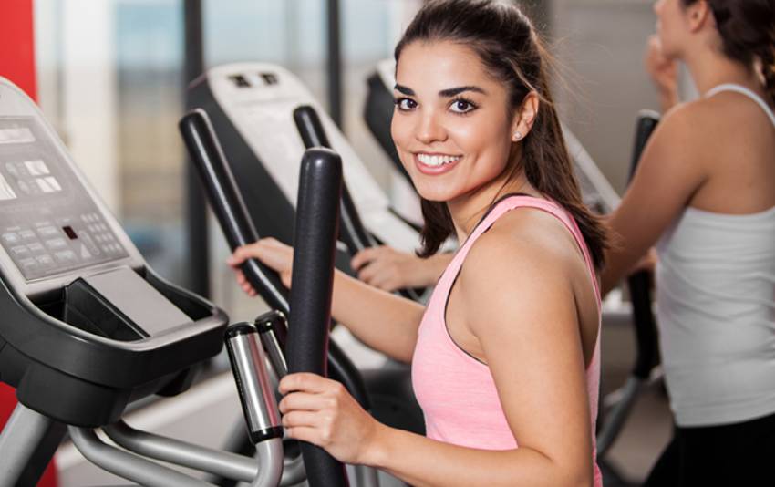 gym equipment wholesalers.