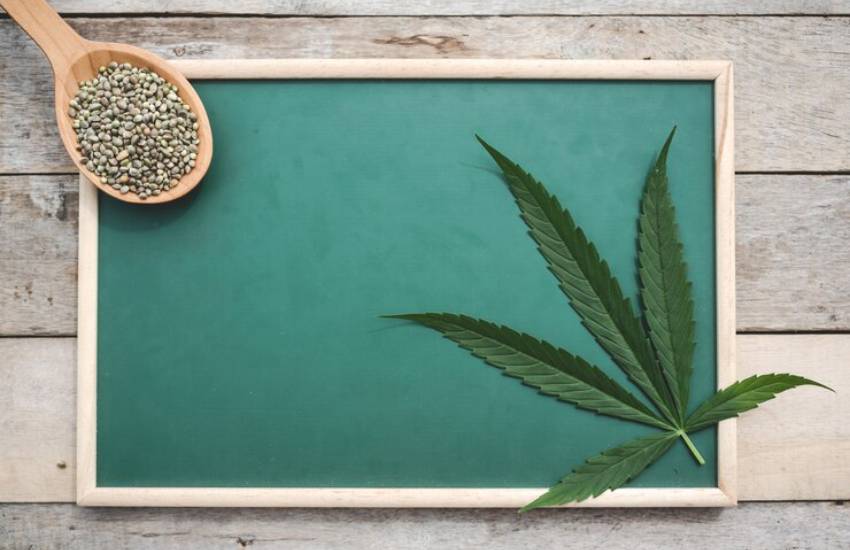 medical marijuana card