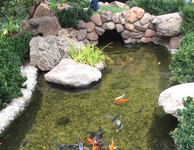 Texas water features 
