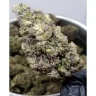 How to Buy CBD Flower for Beginners?