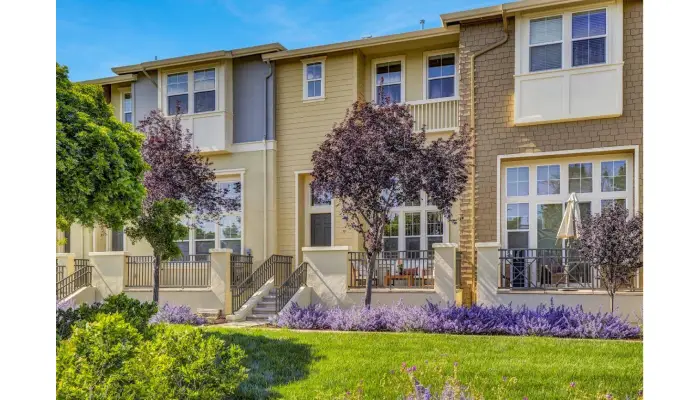 Why Downtown Redwood City Is a Magnet for Modern Homebuyers?